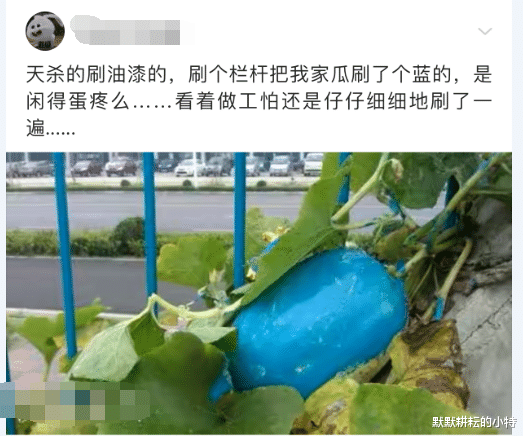 王者荣耀|玩王者荣耀时，系统想让你赢是什么体验？网友的回答把我笑抽了，哈哈！