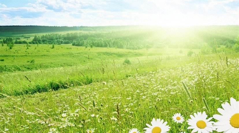 天赐良缘|十月起，天赐良缘，桃花怒放，真情涌动，甜蜜入心，执手余生