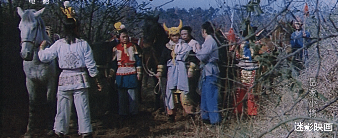 岳云|38年前的武侠神作，《少林寺》后又一部真功夫片，至今奉为经典
