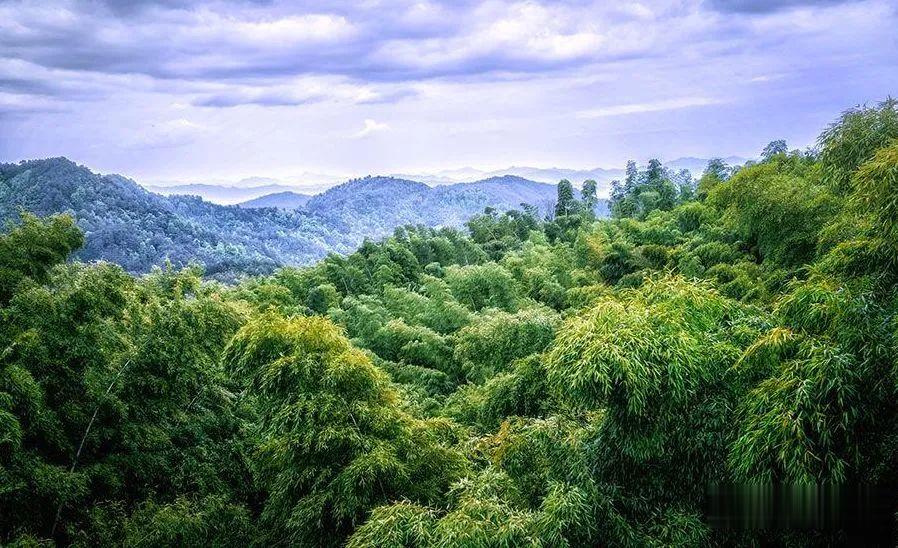 徽州|徽州最美乡村公路，秋色颜值爆表，不来打卡吗!