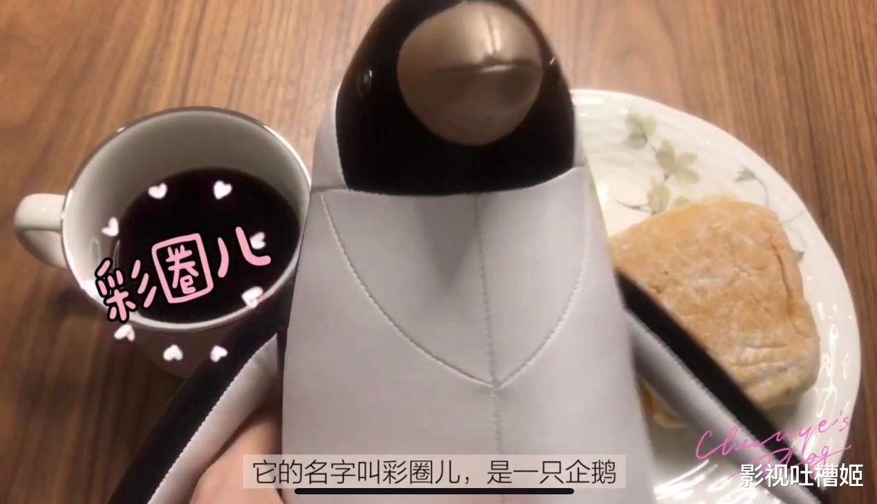 张纯烨■《新相亲大会》张纯烨颜值出众情商高，新生代主持人领跑者