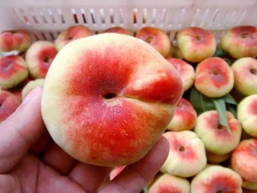 ▲买桃子就要挑“公”的，香甜多汁，学会这5个技巧，一挑一个准！