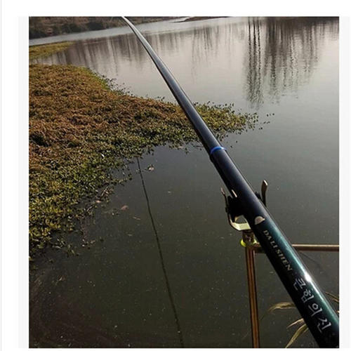 鲤鱼|秋季野钓鲤鱼4件套及选择