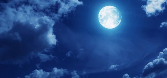 「蝗虫灾害」2020,一个“道劫降临”时代,带给我们什么样的启示?