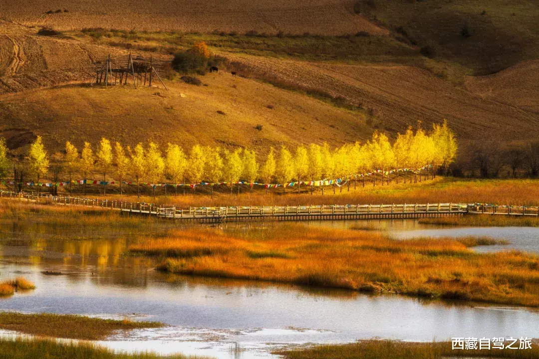 自驾|秋天最美的8条自驾路线！9月10月美成天堂，错过就要再等一年！