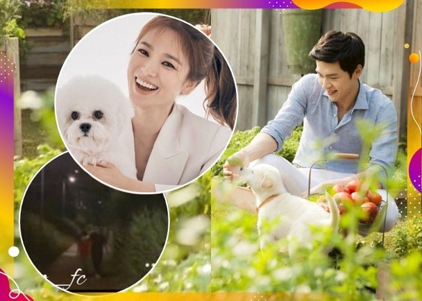 李珉廷|好友曝光李秉宪李敏贞私下恩爱合照,挽手看电影结婚七年依旧甜蜜