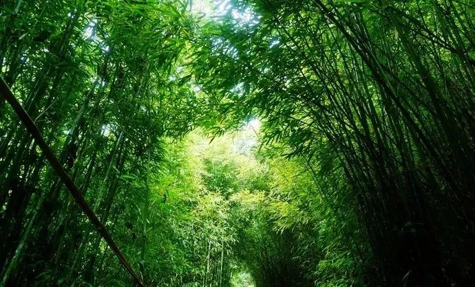 『旅行』适合五月出发的9个旅行地，第一个就心动