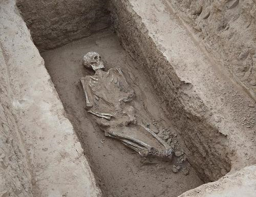 【】活埋20年不死之谜