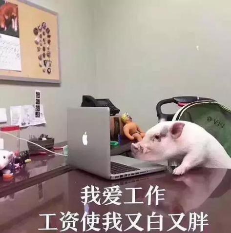 amoled|月薪三千,副业五万,这届年轻人搞副业真的很拼