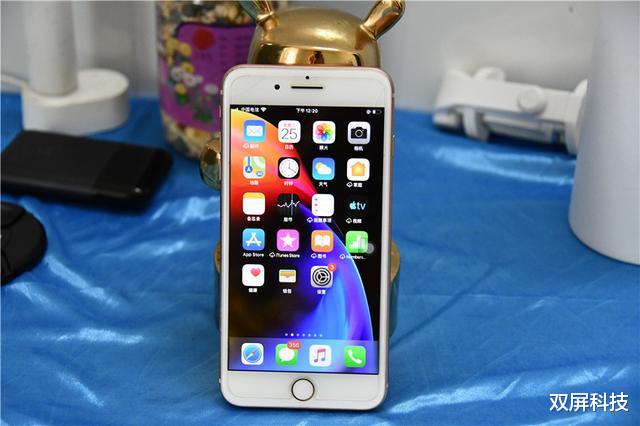 人脸识别|大降1200元，iPhone大屏+128GB，网友：还能再战3年！