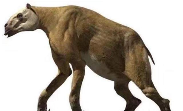 「」已灭绝的生物却在我国被人目击？或许它们就藏匿于某处繁衍生息！