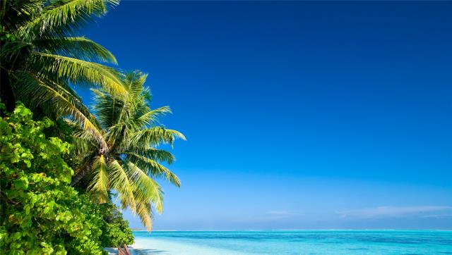 白羊座|八月下旬，走出逆境，前有锦鲤眷顾，后有桃花助阵，三星座