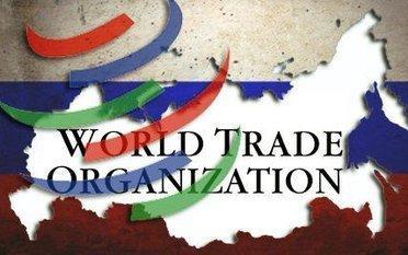 WTO“掌門人”為何著急卸任？“接棒者”或將面臨更大困難-圖4