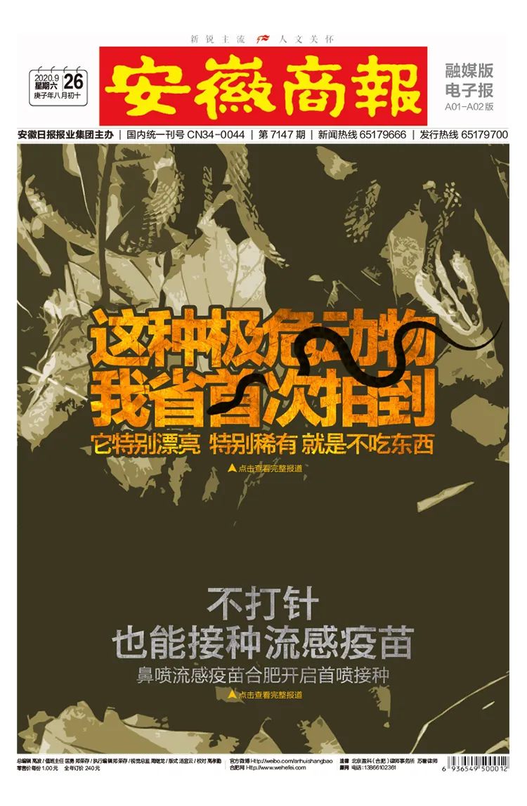 安徽商报|罕见！稀有！安徽首次拍到它（视频）