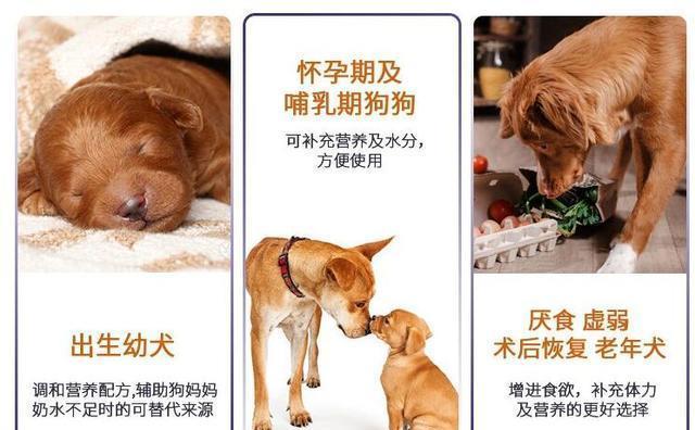 狗狗可不可以长期喝宠物羊奶粉？让小编告诉你吧