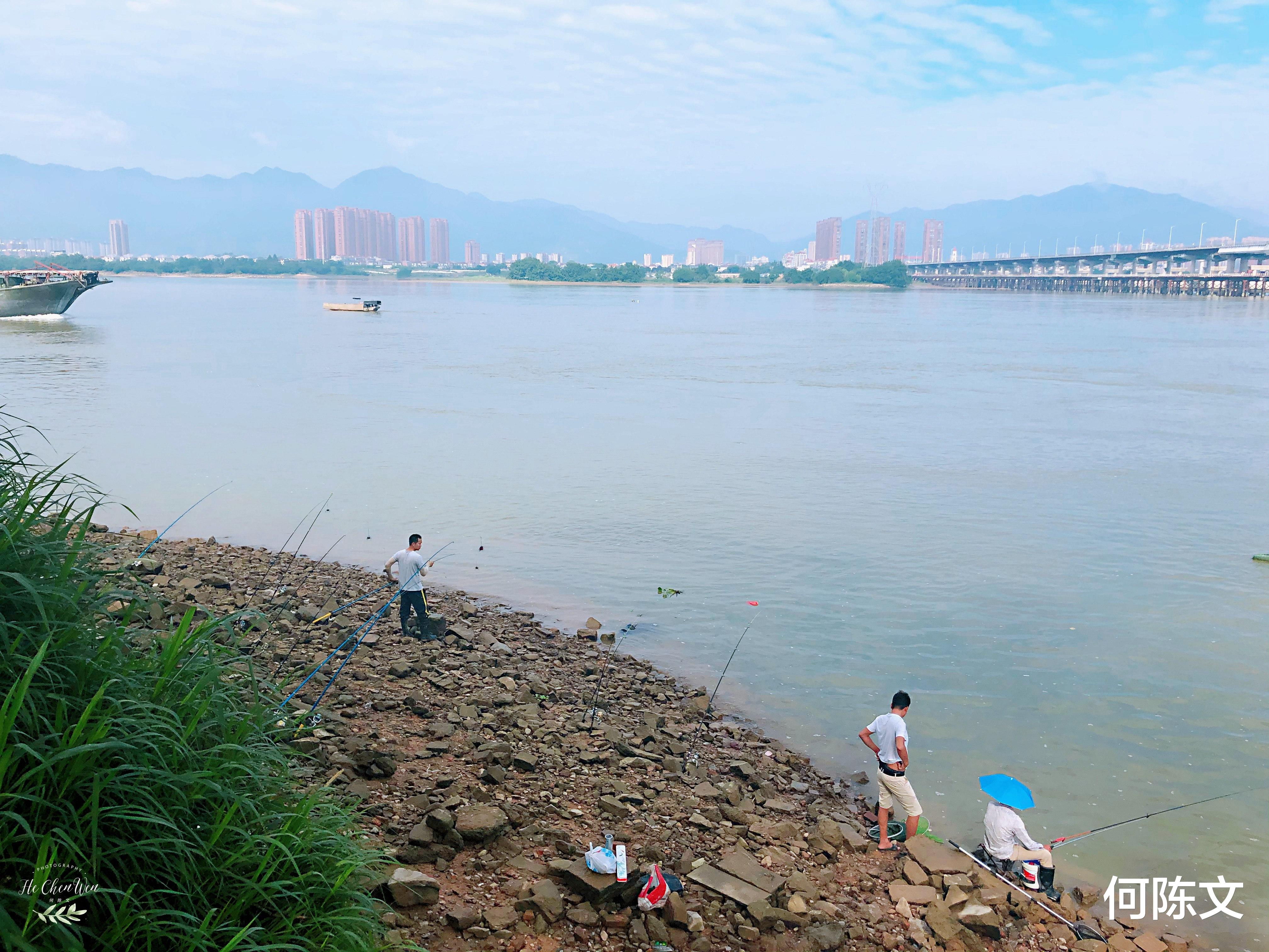 「闽江」闽江畔的这个地方,钓友都喜欢来钓鱼,而且每次都是收获满满
