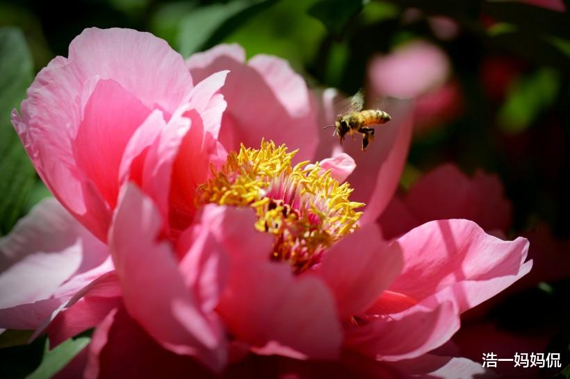 「生肖」7月3号喜事临门，3大生肖偏财畅通，苦尽甘来，迎接曙光