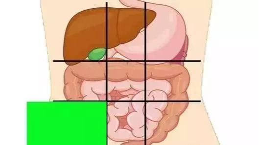 「疾病」一张腹部地图，告诉你腹部疼痛对应哪个器官，终身有益