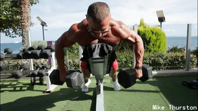 健身|健身不练背,迟早要报废,5个动作,教你练出厚实背部肌肉!