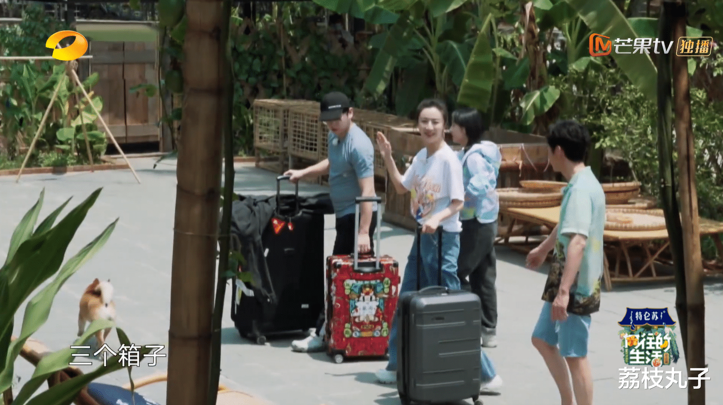 薇娅@向往的生活：薇娅的直播间原来长这样，连路由器都不一般