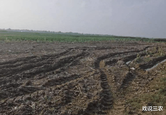 蜂蜜|永久基本农田保护政策再升级！2种违规行为国家要严查，早知道！