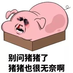 超全！郑州1月各区最新房价表来啦！你的工资能在哪个区买房？