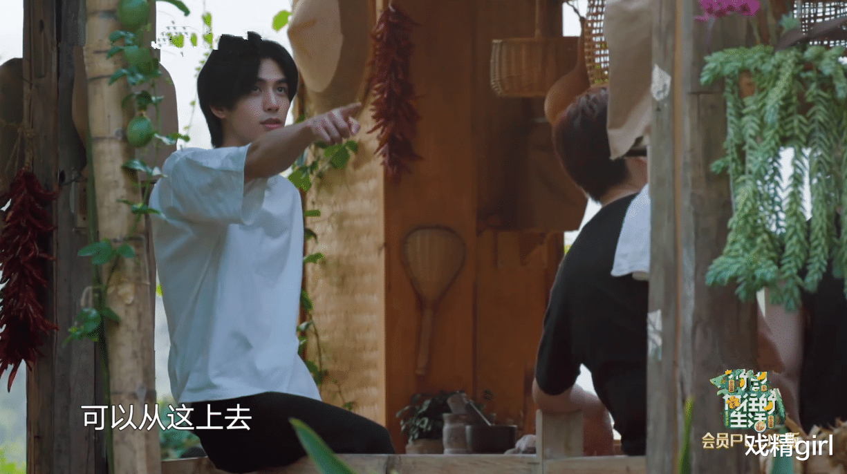 『宋威龙』宋威龙试图摘椰子被拒,又缠着彭彭出门捞河蚌,半路被何炅赶回家