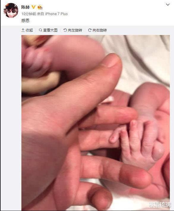 陈赫|陈赫因张子萱与许婧离婚，如今许婧的“报复”来了