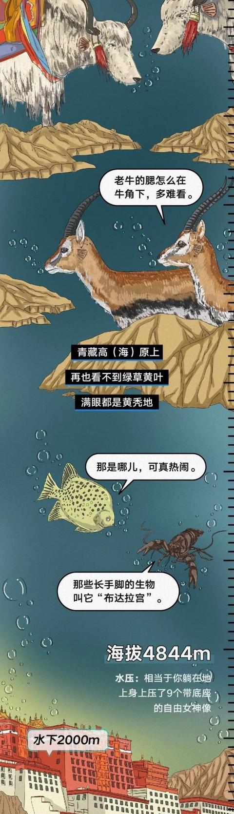 『全球变暖』“我在水下6000米，看到北京故宫！! ! ! ”