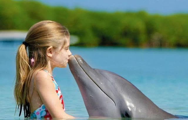 #海豚#海豚为什么这么喜欢人类?原来在海豚眼中,人类长这个样子!