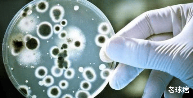 【科学家】为了永生，一个注射340万年前的细菌，一个注射乌龟血液，最后谁成功了？