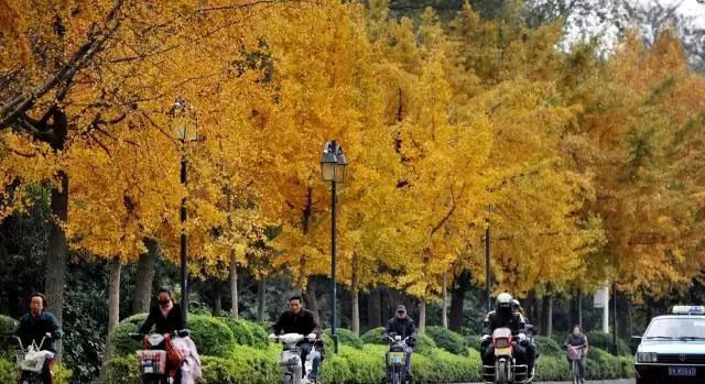 无法抗拒|比苏州秀美！原来它才是江南秋景第一，正适合去过几日慢生活！