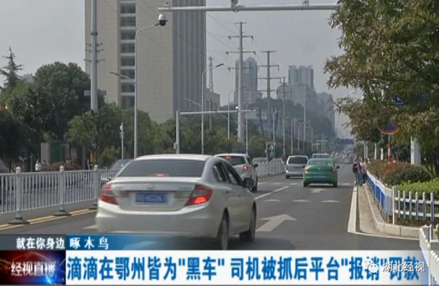 网约车|尴尬！网约车司机有驾驶资质，却不敢接单上路