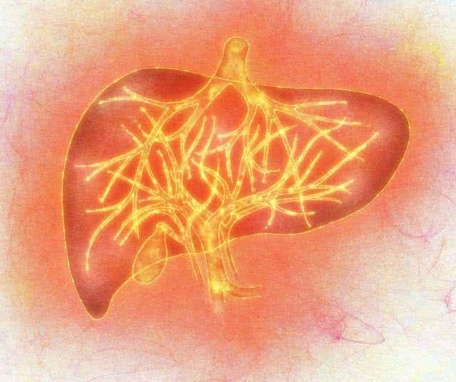 [营养膳食]肝不好的人，早上起床有5种“表现”，提醒该保养了，希望你没有