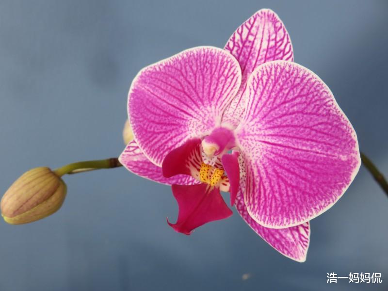 「生肖」7月3号喜事临门，3大生肖偏财畅通，苦尽甘来，迎接曙光