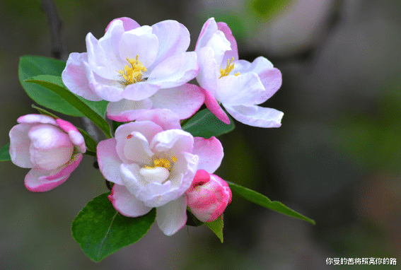 |8月底贵人相助，财运亨通，4属相日子红红火火，大吉大利