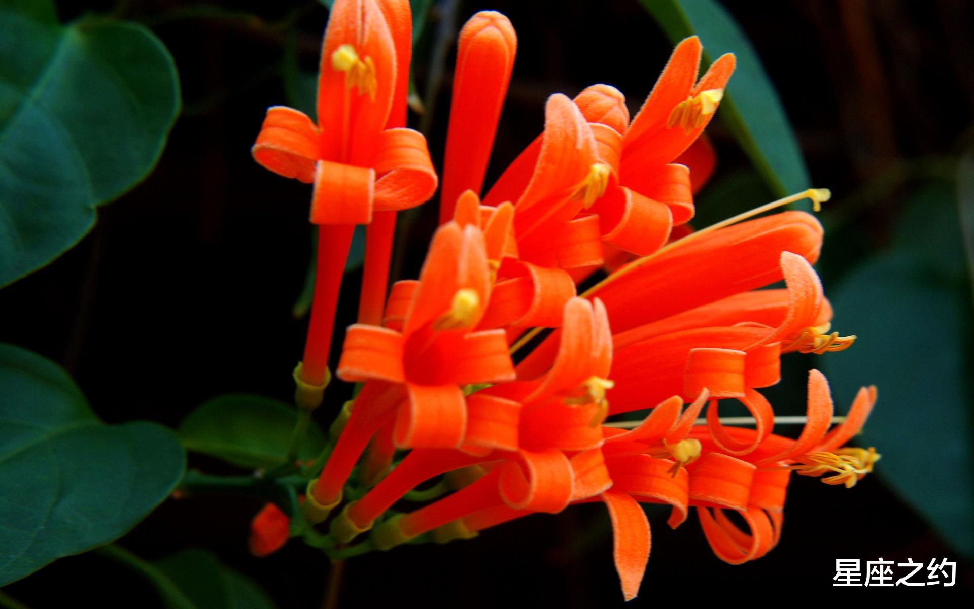 摩羯座|在11月下旬,风雨同舟,默默相伴,深情守护的三大星座