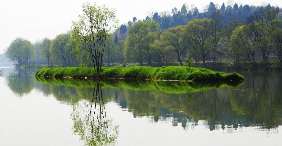 ##蚂蟥的命到底有多硬？不仅雌雄同体，还晒不死？