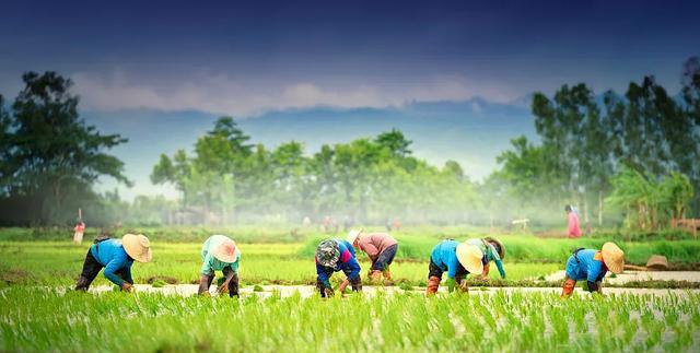 地道农旅 2021乡村振兴，地道君给你四大“钱”途！