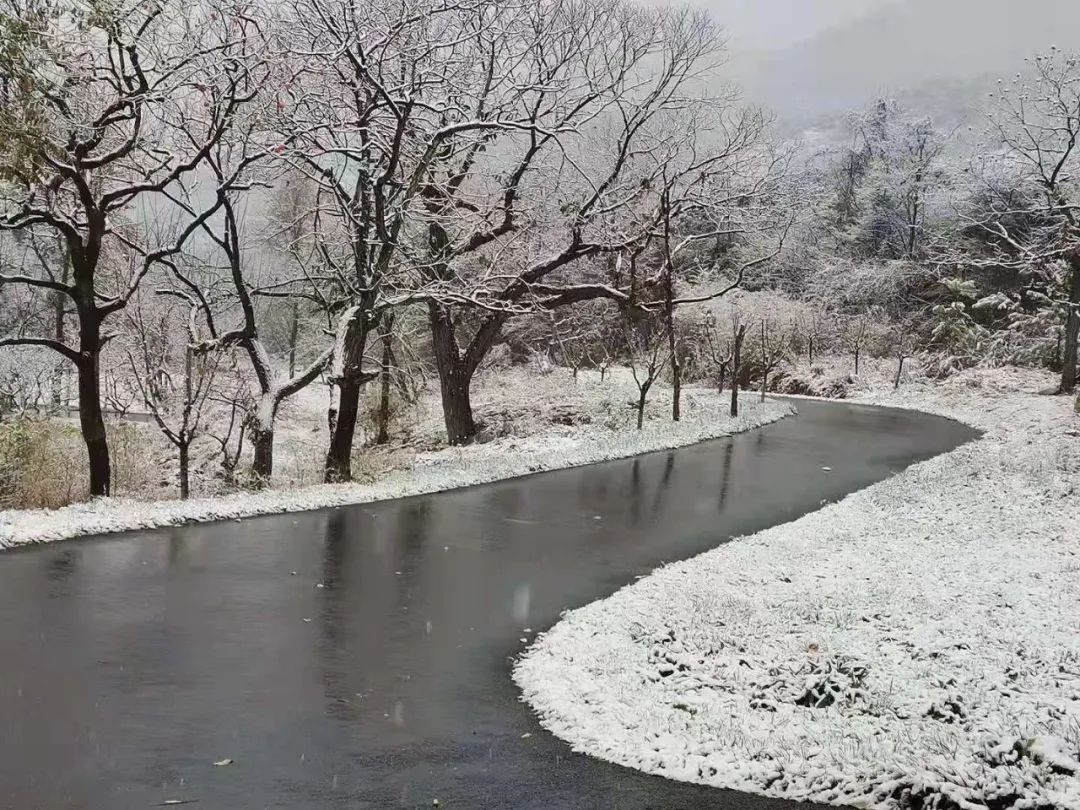 泰安|瑞雪丰年，国泰民安！看，泰安今冬第一场雪，下成这般仙境模样！