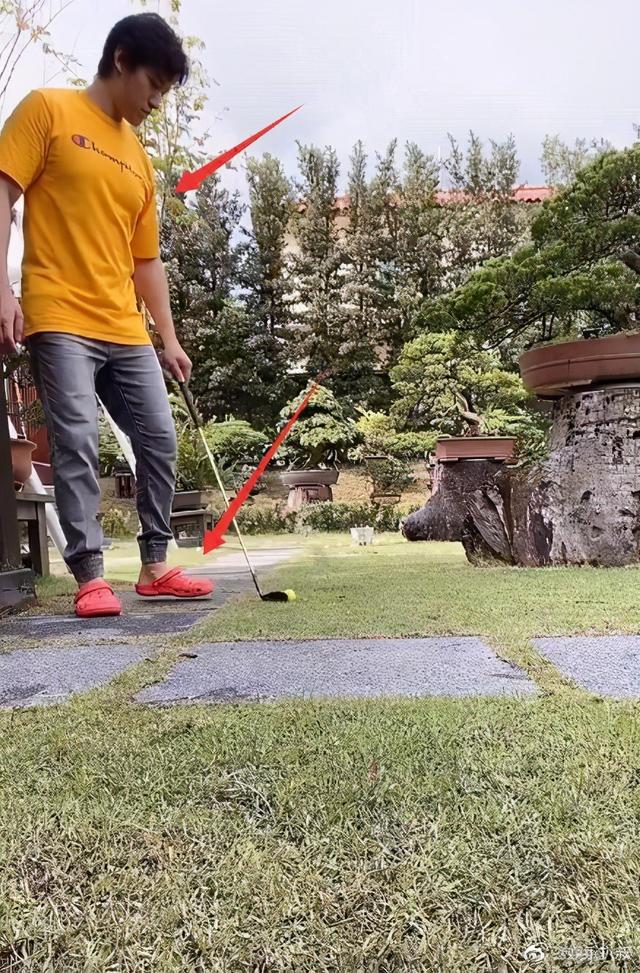 陈乔恩|刚否认怀孕，陈乔恩与男友逛书店，称艾伦“老父”有深意