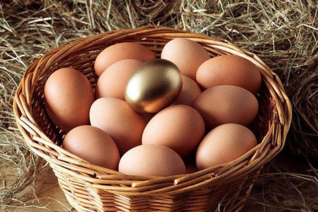 |7月20号开始接好运，喜事常发生，财库更稳固，亨通发达的生肖