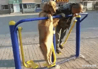 小姐姐|为什么健身的小姐姐大多都是单身？我深入研究了一下...