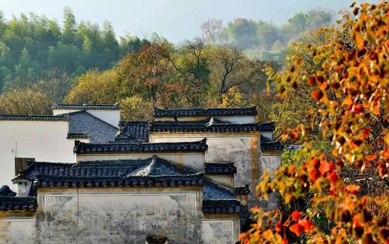 塔川|不愧为全国四大秋色之一 真的宛若童话世界