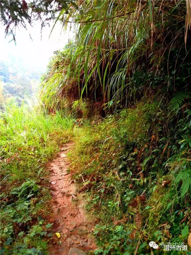 温州@温州铁坑古道，一条横亘于永嘉青田深峡的水瀑古道
