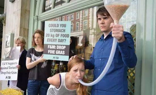 |同样是鹅肝，法国的鹅肝动辄上万，中国的鹅肝为啥那么便宜？