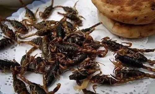 【河南】河南“四大怪菜”，全是当地人的心头之爱，外地人看到却无法张嘴