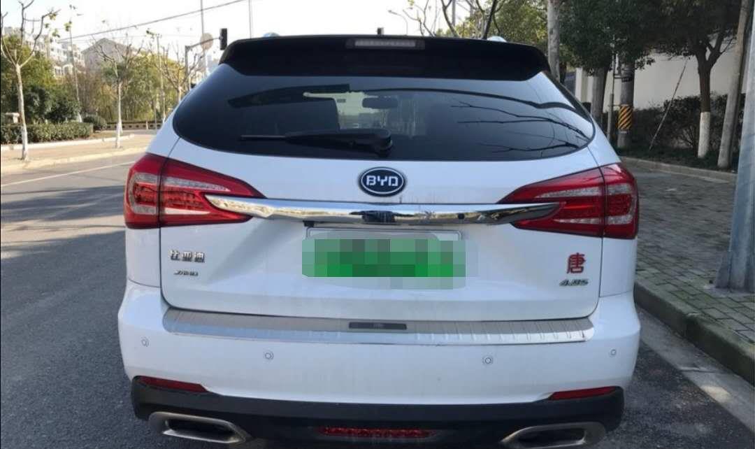 「」唐新能源:别选我,开五年就能亏得本都不剩