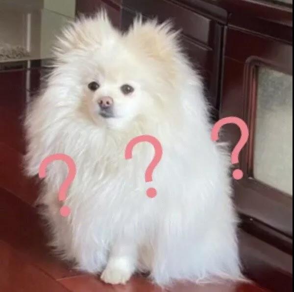 |“在我弟弟床底下打扫出来的是什么？难道弟弟背着我们...？”哈哈哈哈