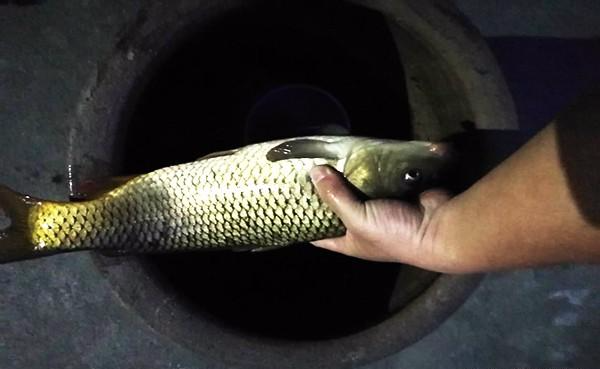 |野外钓鱼除了远离高压线，这些东西也要远离